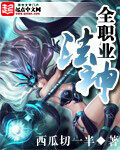 《全职业法神》作者:西瓜切一半