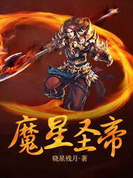 《魔星圣帝》作者:晓星残月