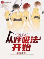 《网王之从呼吸法开始》作者:南柯OL