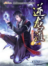 《逆龙道》作者:血红