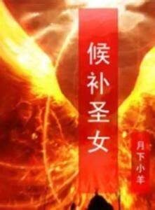 《候补圣女》作者:月下小羊