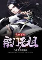 《我真不是宗门老祖》作者:几度雨停