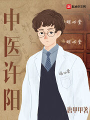 《中医许阳》作者:唐甲甲