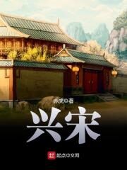 《兴宋》作者:赤虎
