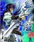 《无上皇座》作者:皇枫