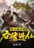 《从乌龟开始吞噬进化》作者:逍遥