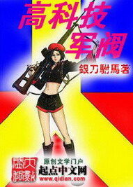 《高科技军阀》作者:银刀驸马
