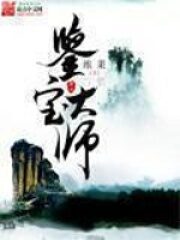 《鉴宝大师》作者:维果