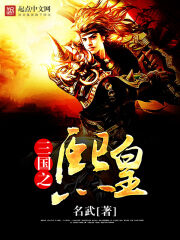 《三国之熙皇》作者:名武