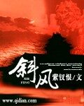 《斜风》作者:紫钗恨