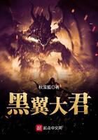 《黑翼大君》作者:秋漠狐