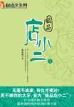 《极品店小二》作者:林家成