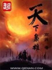 《天下枭雄》作者:高月