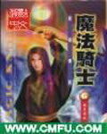 《魔法骑士英雄传说》作者:宝剑锋