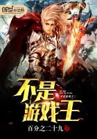 《不是游戏王》作者:百分之二十九