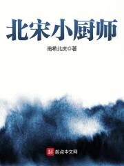 《北宋小厨师》作者:南希北庆