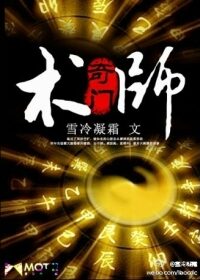 《奇门术师》作者:雪冷凝霜