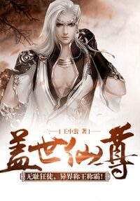 《盖世仙尊》作者:王小蛮