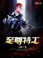 《至尊特工》作者:8难