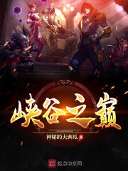 《峡谷之巅》作者:神秘的大西瓜