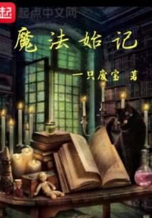 《魔法始记》作者:一只废宝