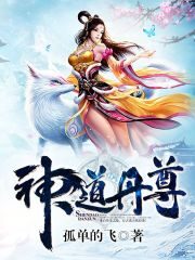 《神道丹尊》作者:孤单地飞