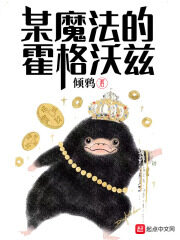 《某魔法的霍格沃茨》作者:倾鸦