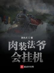 《肉装法爷会挂机》作者:黑色天