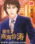 《重生之商海惊涛》作者：文心虫
