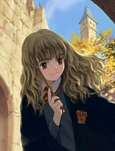 《哈利的魔法世界》作者:葉飄零