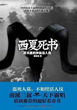 《西夏死书》作者:顾非鱼
