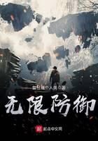 《无限防御》作者:曾经是个人类