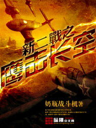 《新二战之鹰击长空》作者:奶瓶战斗机