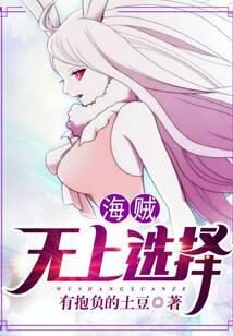《海贼：无上选择》作者：有抱负的土豆