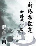 《新格物致道》作者:归卧故山