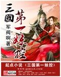 《三国第一妹控》作者:军阀啊