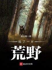 《捡了一片荒野》作者:奥比椰