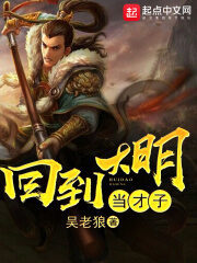 《回到大明当才子》作者:吴老狼