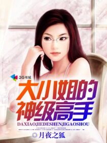 《大小姐的神级高手》作者:月夜之狐
