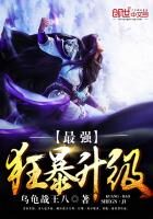 《最强狂暴升级》作者：乌龟战王八
