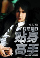 《女总裁的特级高手》作者:冷九
