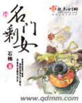 《名门剩女》作者：石楠