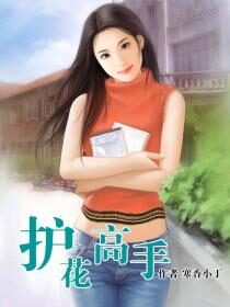 《护花高手》作者:寒香小丁