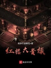 《红楼大贵族》作者:桃李不谙春风