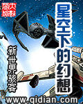 《星空下的幻想》作者:新世界骇客