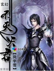 《不灭天君》作者:风宇雪