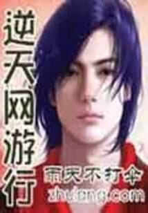 《逆天网游行》作者:雨天不打伞