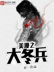 《美漫之大冬兵》作者:育