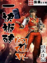 《一块板砖闯仙界》作者:妖天