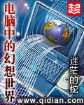 《电脑中的幻想世界》作者:迷茫的蛇